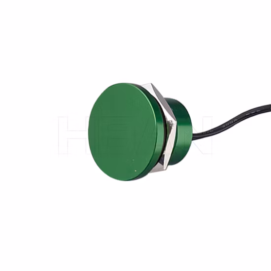 19mm IP68 Waterproof Push Button Switch